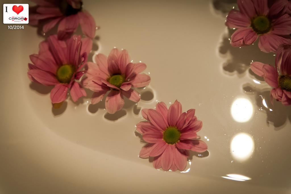 Apartment Chroma Italy - Chroma Trastevere *
