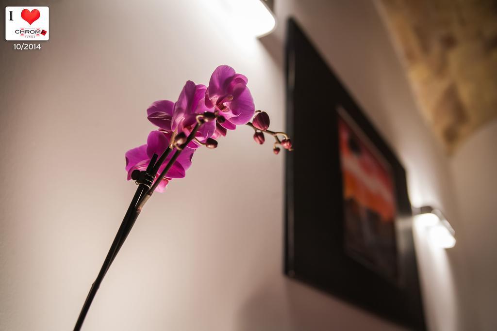 Chroma Italy - Chroma Trastevere Appartement